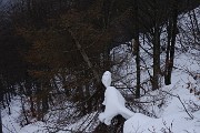 76 Pupazzo...creato dalla neve !